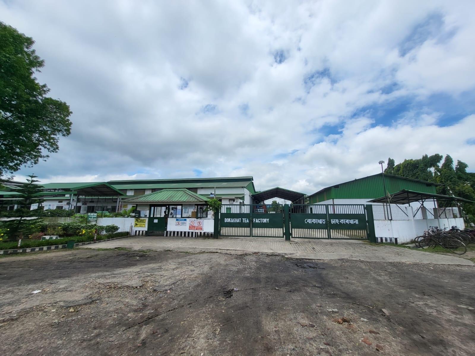 Bokakhat Tea Factory from the road, its name lettered in English and Assamese on the gate