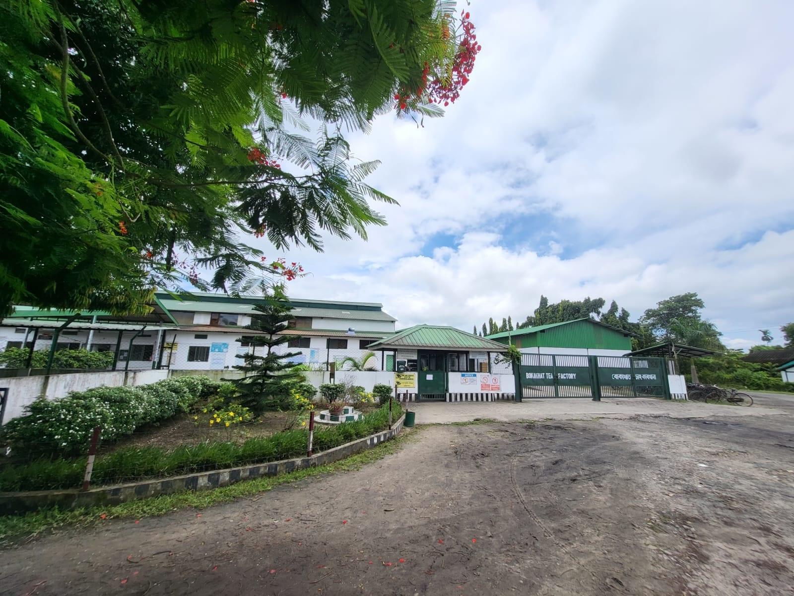 The gate of Bokakhat Tea Factory, with a flowering gulmohar overhead